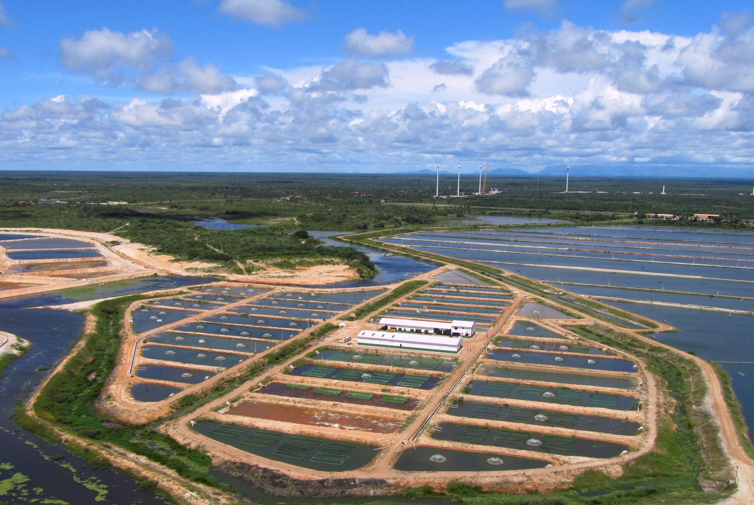 One of Aquabel’s production sites in the state of Ceara, north east Brazil.